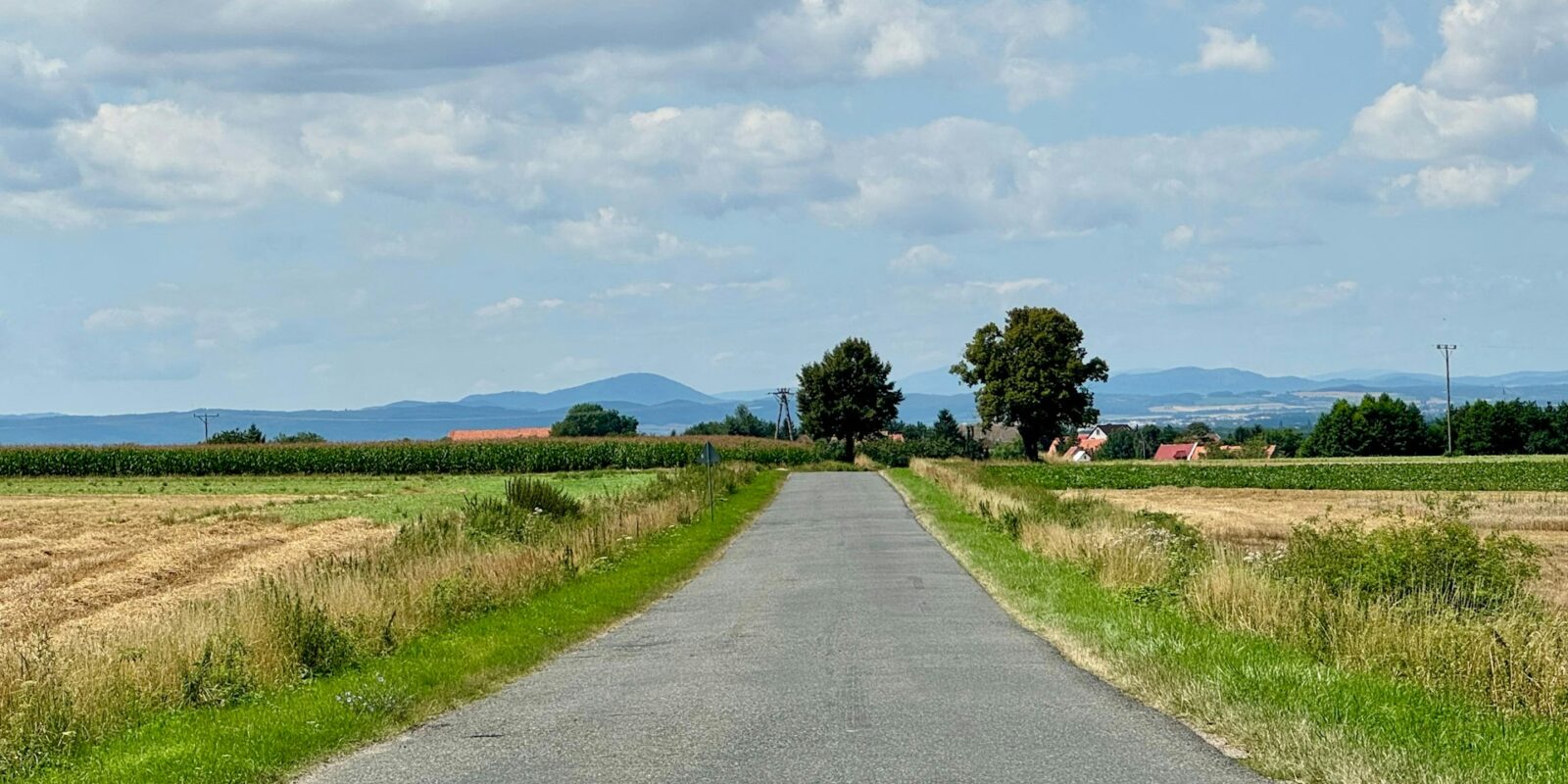 Wiejska droga wśród pól – dojazd do klientów w regionie